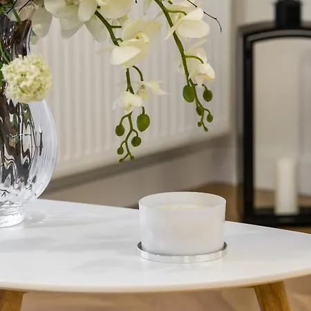 Chwaliszewo Elegant With Balcony In By Renters * بوزنان